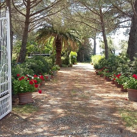 צ'צ'ינה Campo Alle More מראה חיצוני תמונה