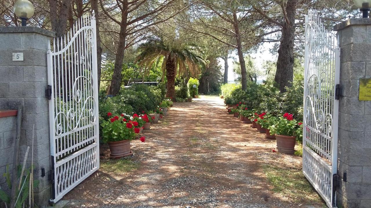 צ'צ'ינה Campo Alle More מראה חיצוני תמונה