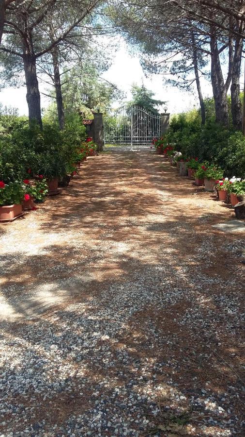 צ'צ'ינה Campo Alle More מראה חיצוני תמונה