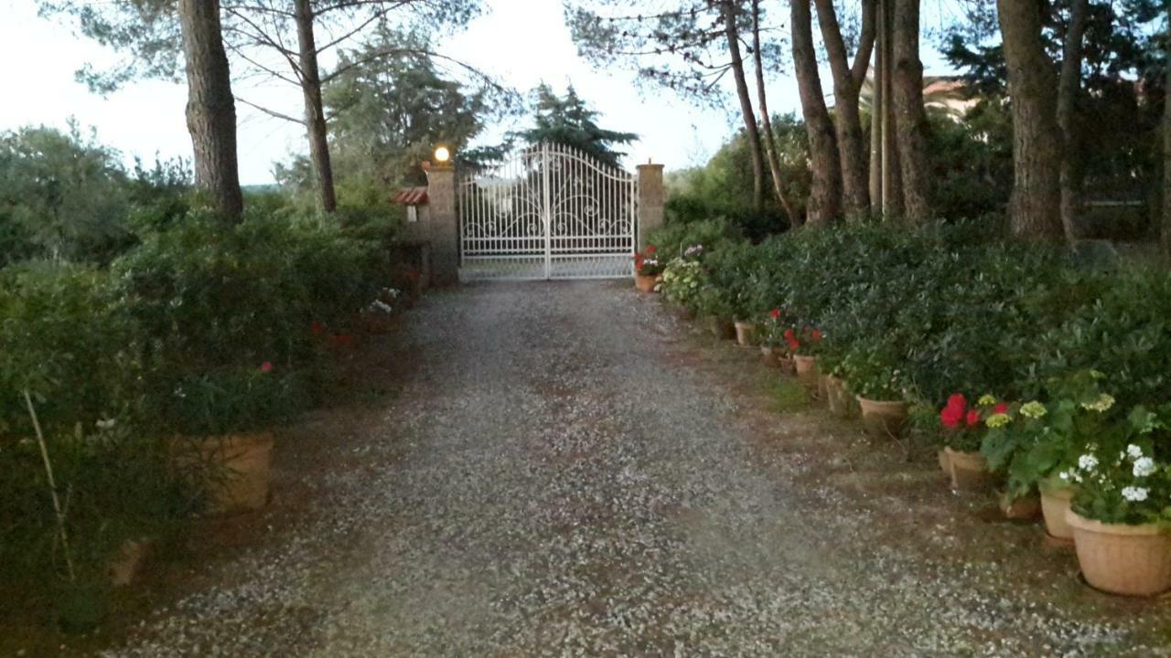 צ'צ'ינה Campo Alle More מראה חיצוני תמונה