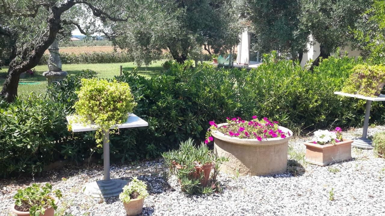 צ'צ'ינה Campo Alle More מראה חיצוני תמונה