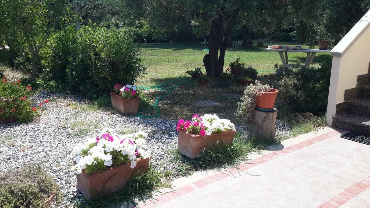 צ'צ'ינה Campo Alle More מראה חיצוני תמונה