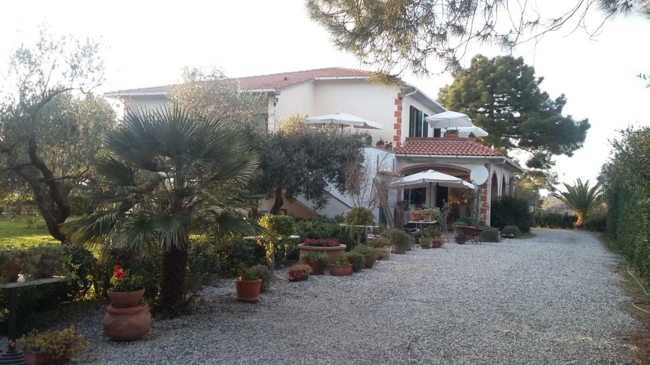 צ'צ'ינה Campo Alle More מראה חיצוני תמונה